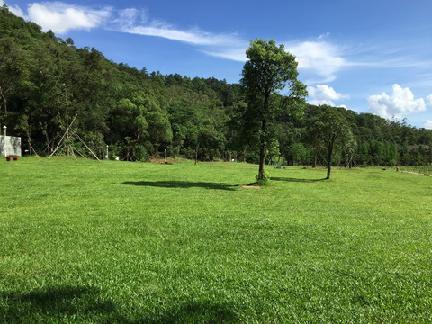 新会石涧草地