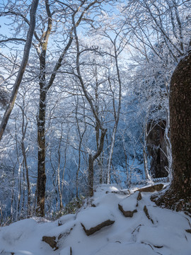 黄山雪景