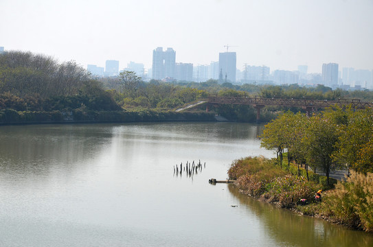 海珠湿地