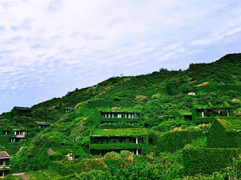 浙江的枸杞岛嵊山岛无人村