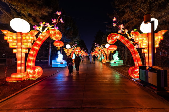 长春南湖公园冰雪灯光展夜景