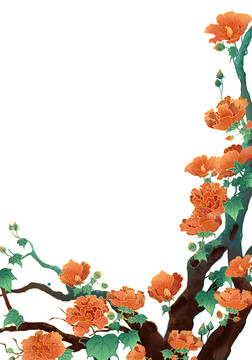芙蓉花葉枝四川成都