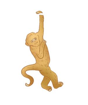 金絲猴猴子