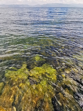 清澈的湖水