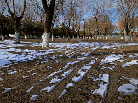 残雪