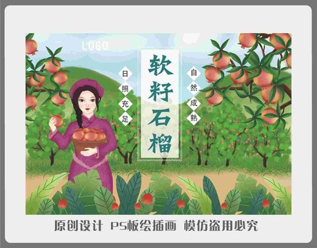 板繪石榴插畫