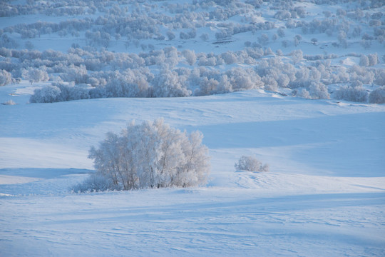 雪景