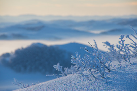 雪景