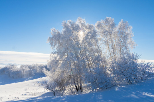 雪景