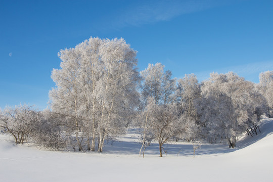 雪景