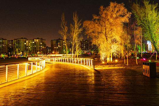 南溪湿地公园夜景