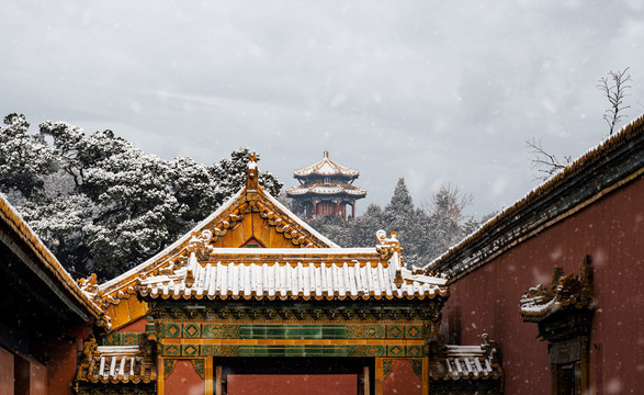 北京下雪后的故宫