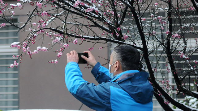 踏雪赏梅