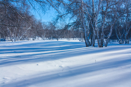 雪景