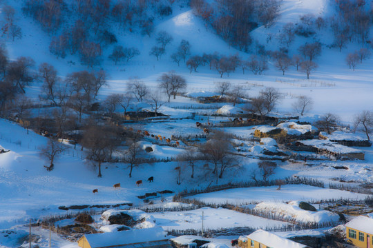 雪景