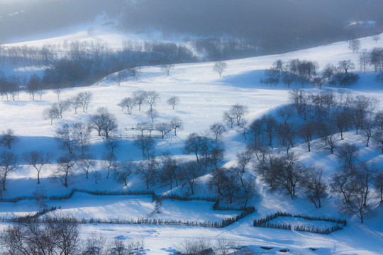 雪景