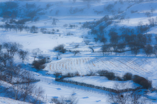 雪景