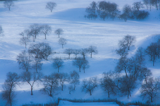 雪景