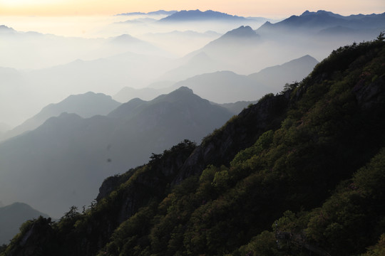 山中云海