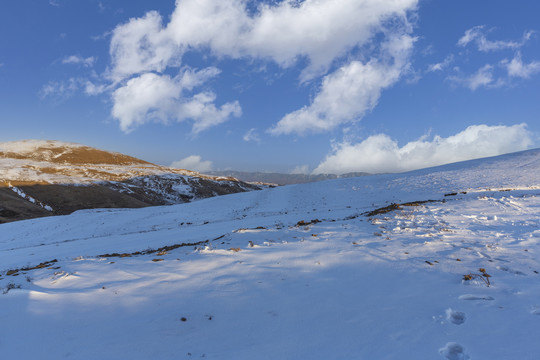 昭通大山包冬季雪山自然风光