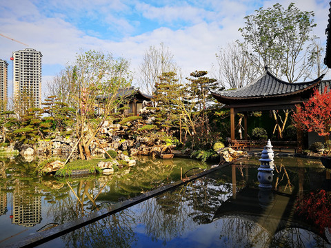 小区水景