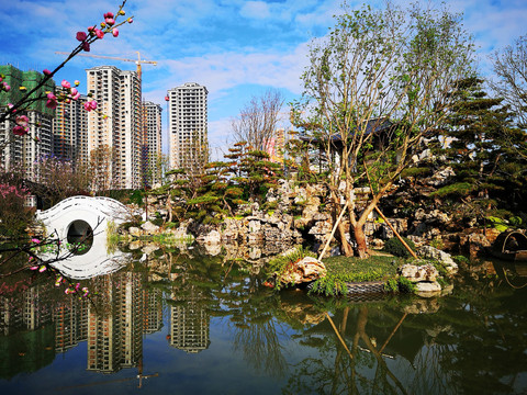 小区水景