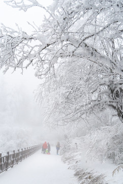 雪山游步道