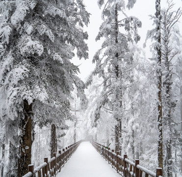 雪山游步道