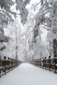 雪山游步道