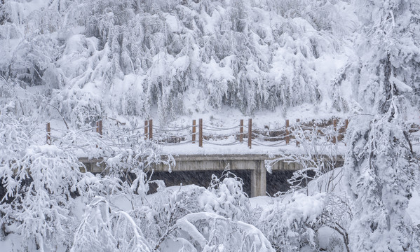 雪山游步道