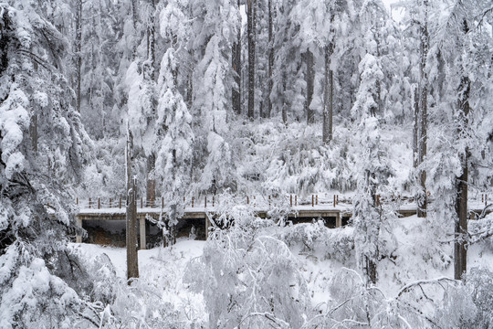 雪山游步道