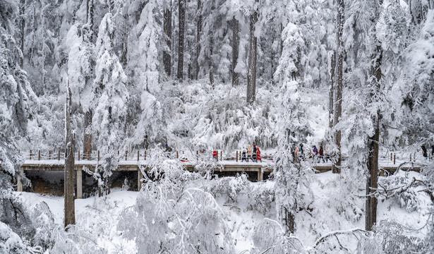 雪山游步道