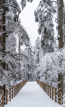 雪山游步道