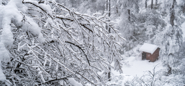 大雪森林小屋