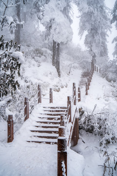 游步道积雪