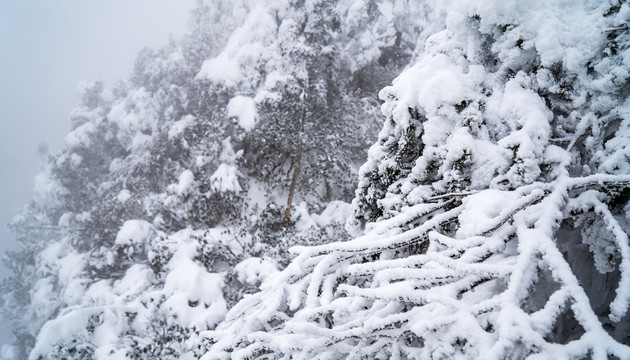 瓦屋山雪景