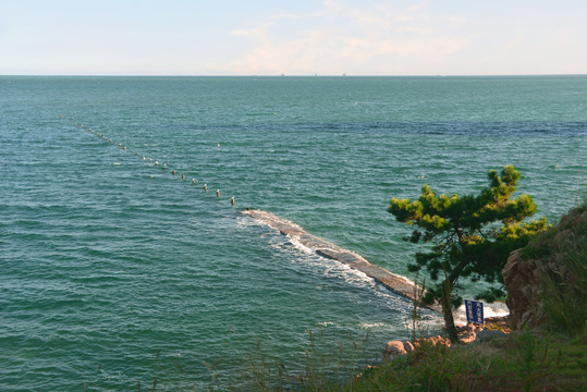 青岛太平湾海岸风光