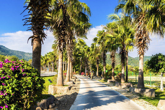 三亚南山文化旅游区