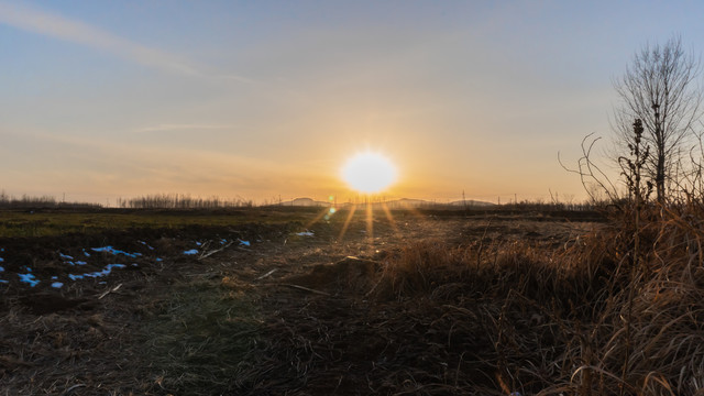 冬天夕阳下的田野杂草