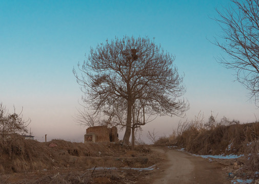 黄昏田间小路