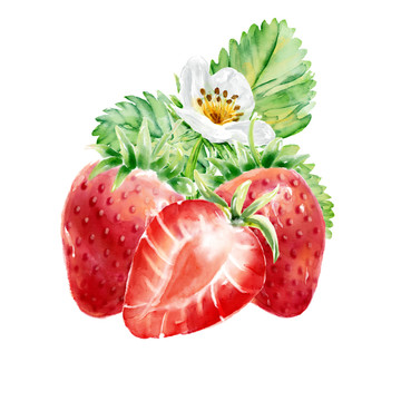 数字绘画水彩草莓元素装饰图案
