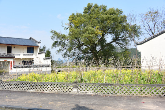 桂林灵川山口村