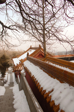 沂蒙山云蒙山寺庙雪景