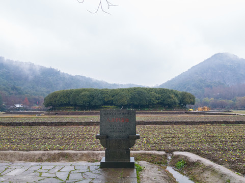 雨中八卦田