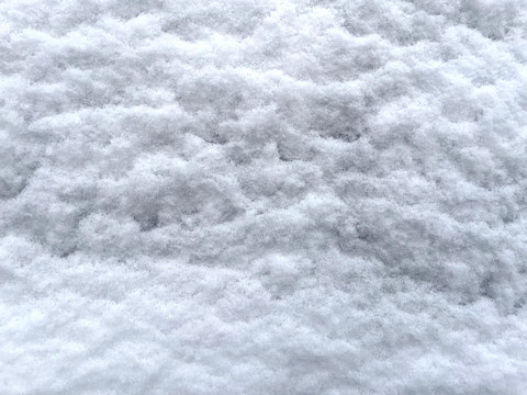 雪地实拍