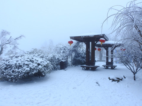 庐山街心公园雪景