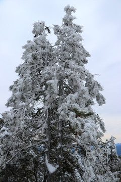 四明山雪景