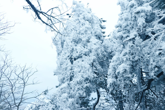 四明山雪景