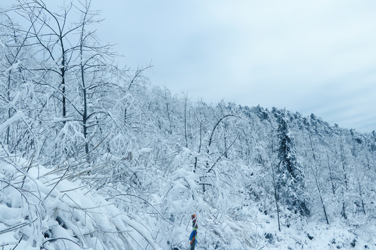 四明山雪景