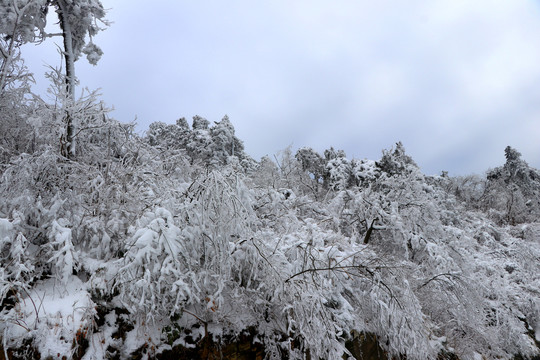 四明山雪景